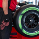 Image for article titled Firestone's Sustainable Guayule Tires Are Already a Success